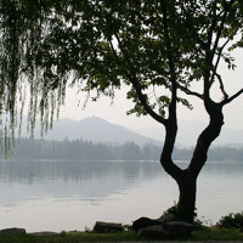 hid my tears under willow trees