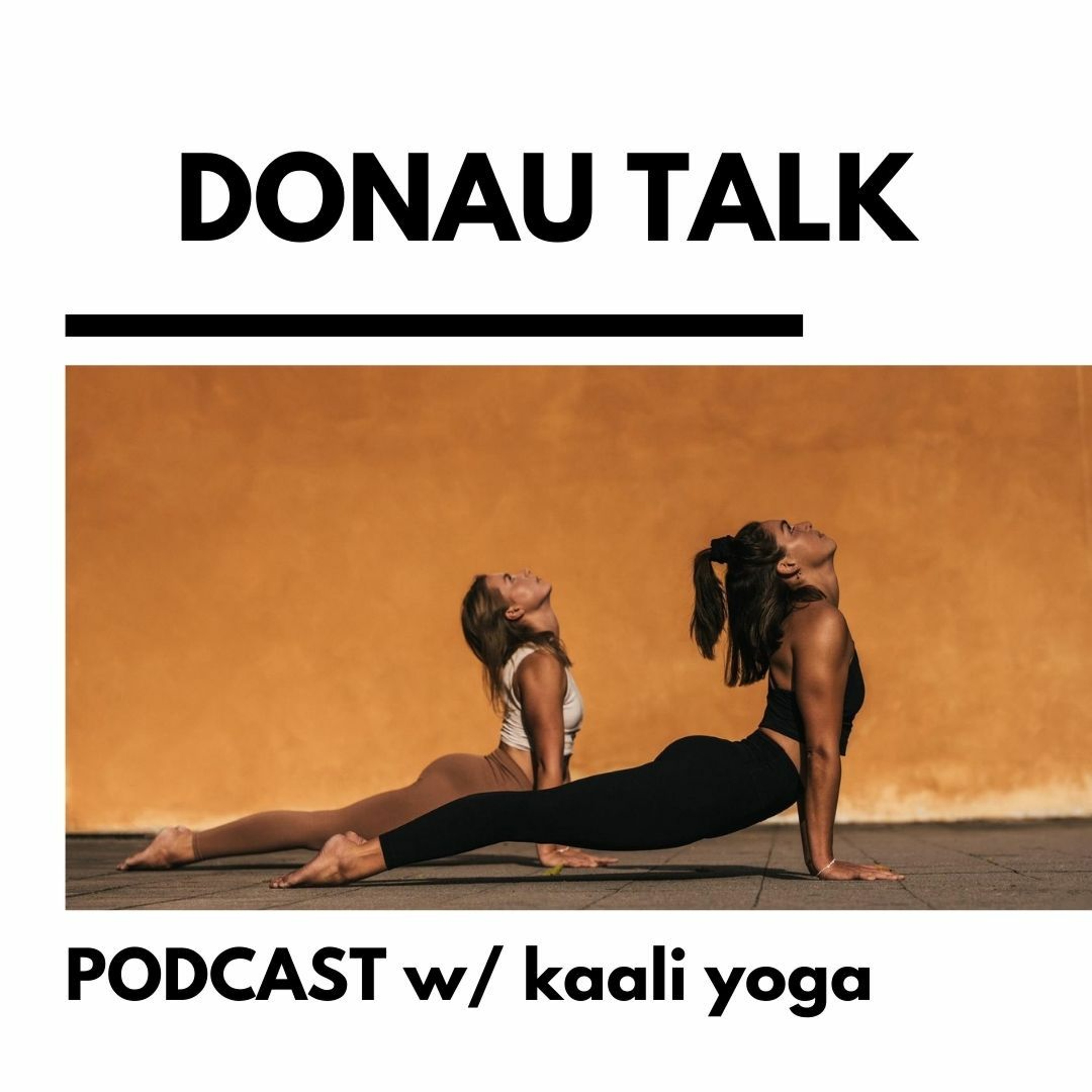 Donau Talk