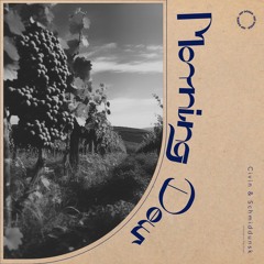Civin & Schmiddunsk - Morning Dew