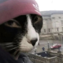 tümünü kim aldıysa yerine koysun