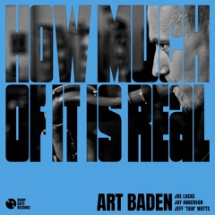 Art Baden - How Much Of It Is Real / RAINY022