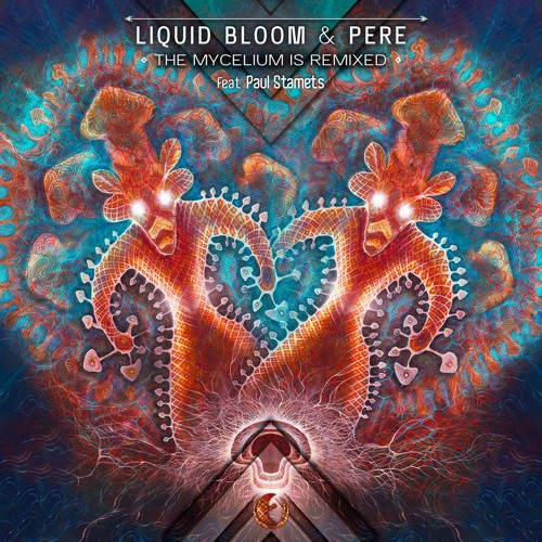Liquid Bloom & PERE - The Mycelium Is Listening (Spice Traders Remix)