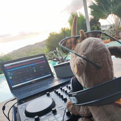 Rony'style Martinique 2 (hardstyle)
