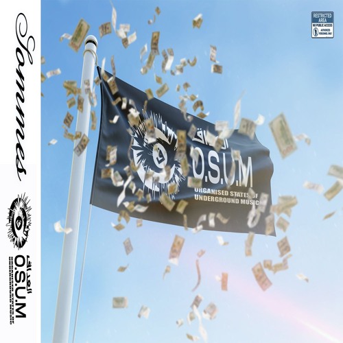 JEY CHRIS - SOMMES PROD CHIRURGY ## O.S.U.M