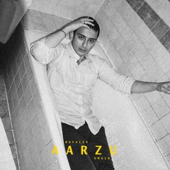 Hasan Raheem - Aarzu [Rovalio & UMAIR Remix]