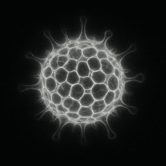 C'ELLE - Moments Between Worlds