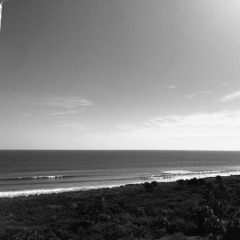 PALM COAST (MIX #3)