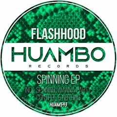 Flashhood - Wanna Party (Fun Mix)