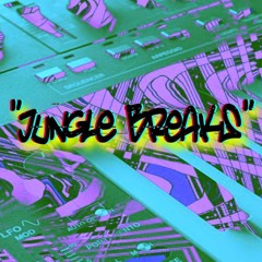 JUNGLE  +  BREAKS                                                    (MIX)