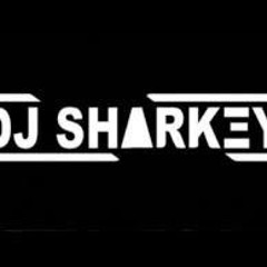 DJ Sharkey - True Colours [Dubzys Dirty VIP].mp3