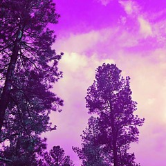 Ugly $toner - Walking