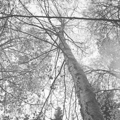 YOU (skit)-(PROD. EUREKA BEATS)