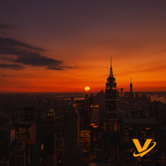 Feel the Night