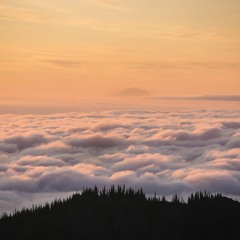 Horizon - Alper