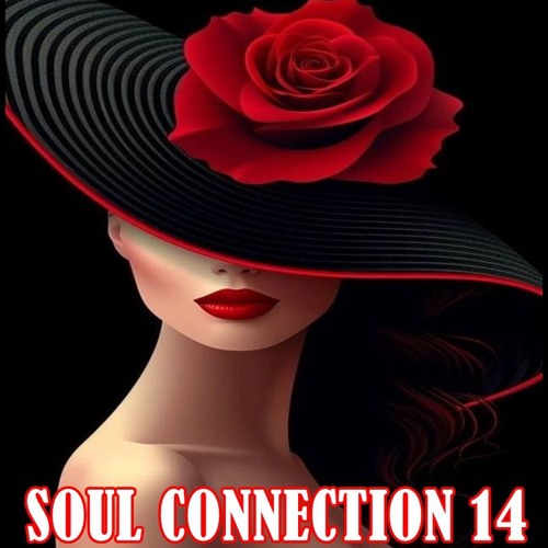 SOULFUL HOUSE CONNECTION 14