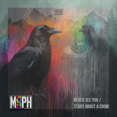 MRPH - Story About A Crow