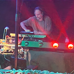 Twistica Live at Woodland Hootenany 20th July 2024