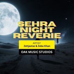 Sehra Night Reverie (feat. Zehjastaz & Zeba Khan)