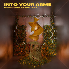 Into Your Arms (Extended Mix)