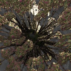 plants
