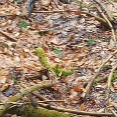 by my side. prod. slatervstheworld