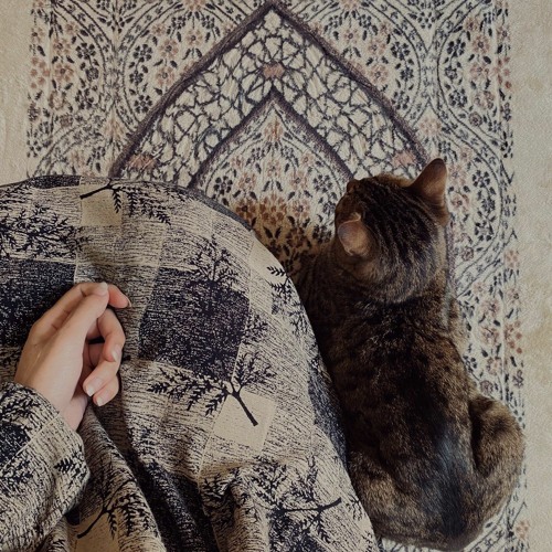 سَريت بروحي 🤍