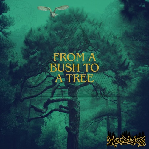 From A Bush To A Tree