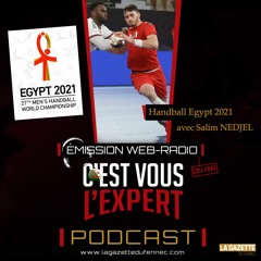 « C'est vous l'Expert #144 » : Le Hand avec Salim Nedjel