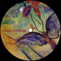 Strings And Wings