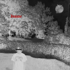 Insane [prod. xenshel]
