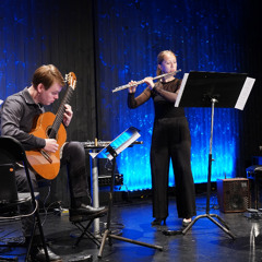 Sunleif Rasmussen - Bird Metamorphoses (2022)