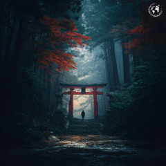 Tosso - Unknown Places