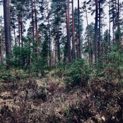 Faster Sleep (2005-2007)