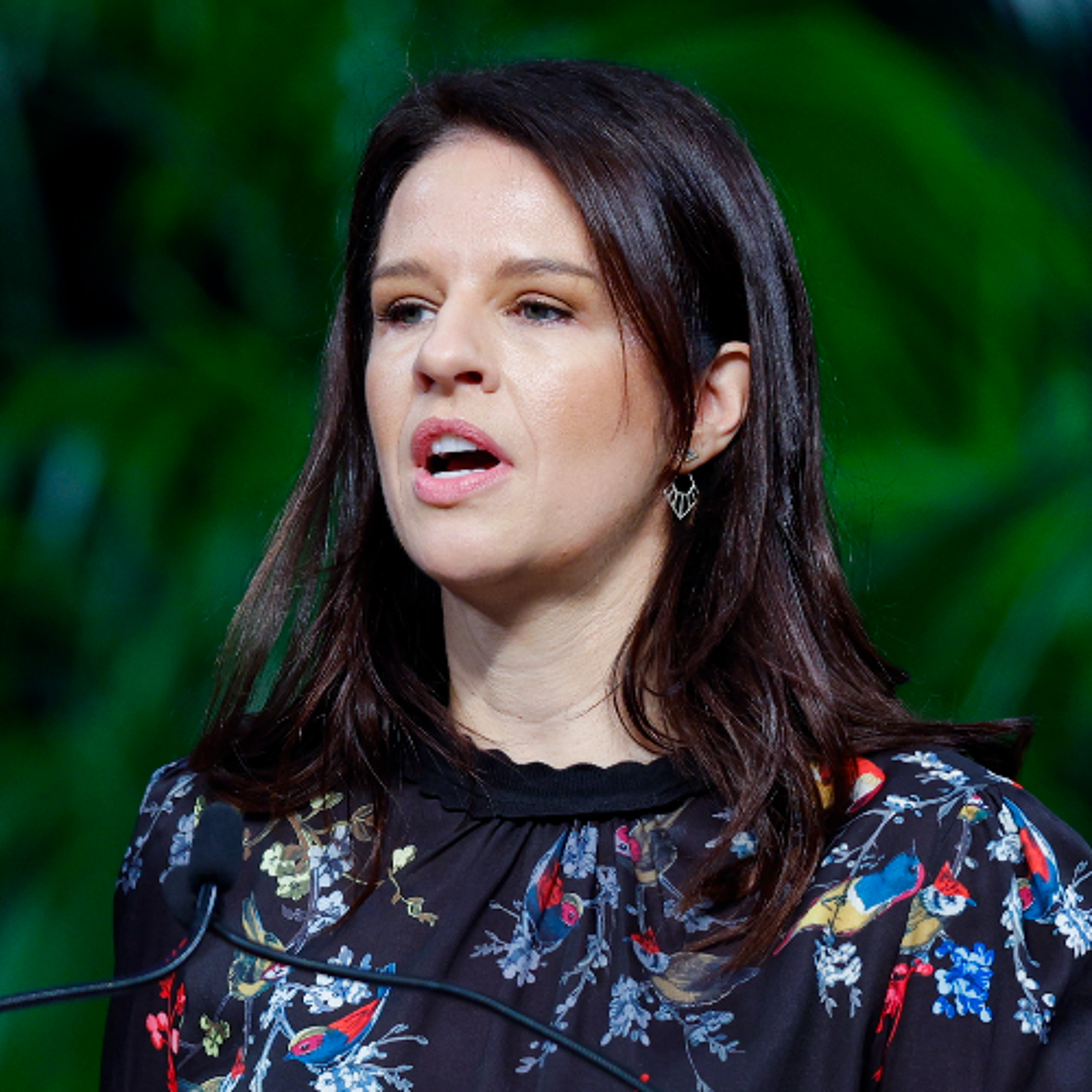 Erica Stanford on charter schools: 'Transformational change' will stop schools converting