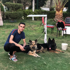 هو صحيح الهوا غلاب!!!!؟؟؟ روقان 2022 عبسلام