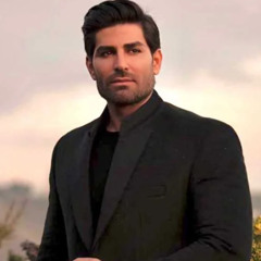 Reza Malekzadeh - Aram Aram
