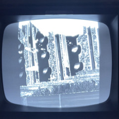 Always Here Always There