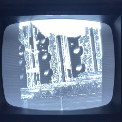 Always Here Always There