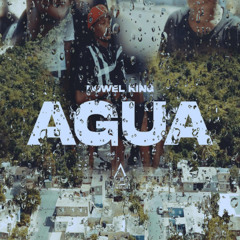 Dowel King - Agua