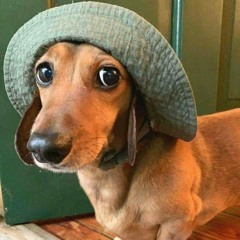 ᑕᒪᗩՏՏIᑕ >ᵒˡᵈ ˢᶜʰᵒᵒˡ< Ĥ̬Ô̬Û̬Ŝ̬Ê̬