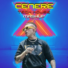 Cenere X One (Mashup By Simone Marino)