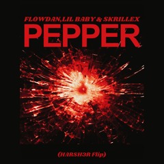 Flowdan, Lil Baby, & Skrillex - Pepper (HARSH3R FLIP)