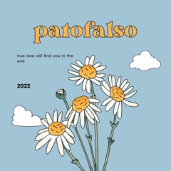 TRUE LOVE WILL FIND YOU IN THE END(daniel johnston)