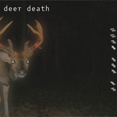 deer death - if you will