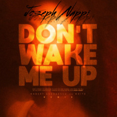 Don't Wake Me Up (Joseph Nappi Remix) Extended Mix