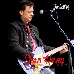 The Best of Shawn Harvey - 20-track album