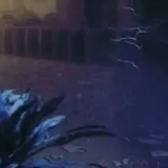 audio2025my new songwav