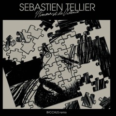 Sebastien Tellier - L'amour et la Violence (BVCCHUS Remix) - Free Download