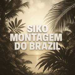 MONTAGEM DO BRAZIL