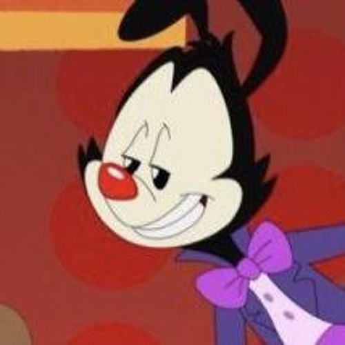 Yakko main image 1